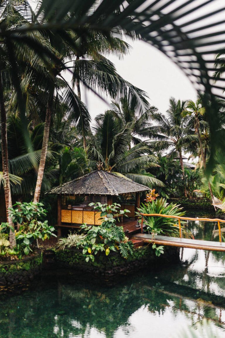 Redd f 3mWxKnqET3E unsplash